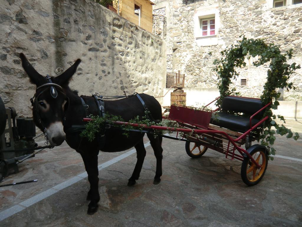Hotel Le Moulin De Sournia Zewnętrze zdjęcie